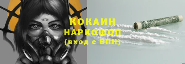a pvp Магас