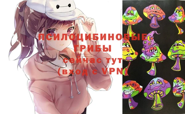 a pvp Магас