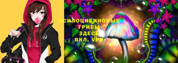 a pvp Магас