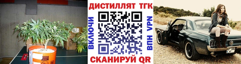 ТГК Wax  Ухта 