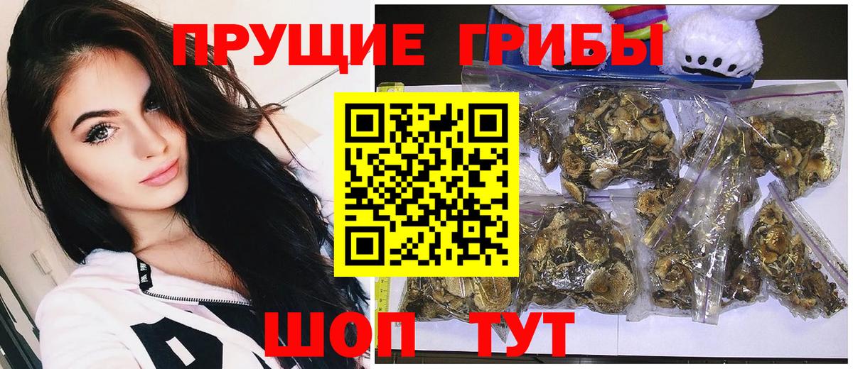 Галлюциногенные грибы прущие грибы Ухта
