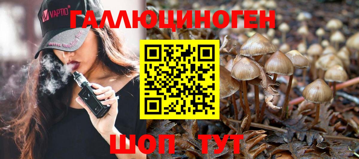 Псилоцибиновые грибы Cubensis  Вход с VPN  Ухта 